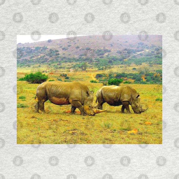 African Wildlife Photography Rhino Couple by PathblazerStudios